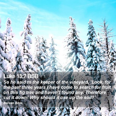 Luke 13:7 BSB Bible Verse Image