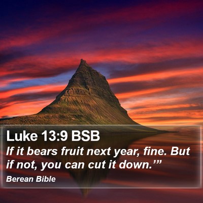 Luke 13:9 BSB Bible Verse Image
