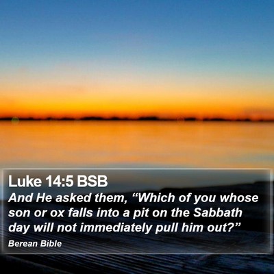 Luke 14:5 BSB Bible Verse Image