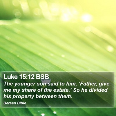 Luke 15:12 BSB Bible Verse Image