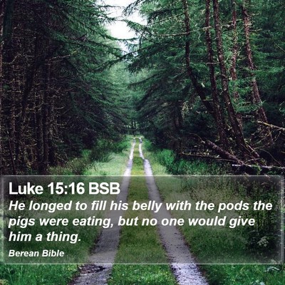 Luke 15:16 BSB Bible Verse Image
