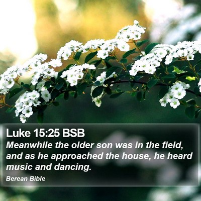 Luke 15:25 BSB Bible Verse Image