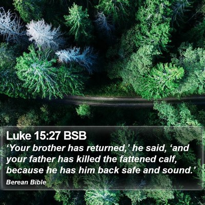 Luke 15:27 BSB Bible Verse Image