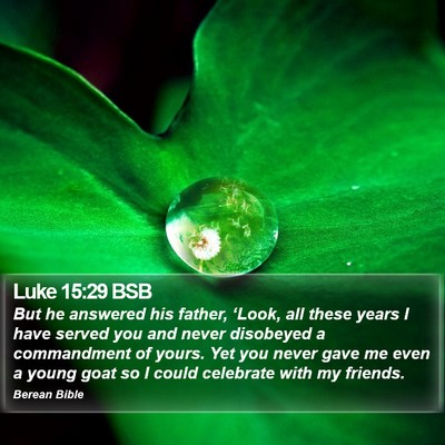 Luke 15:29 BSB Bible Verse Image