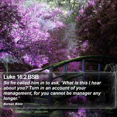 Luke 16:2 BSB Bible Verse Image