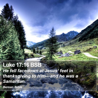 Luke 17:16 BSB Bible Verse Image