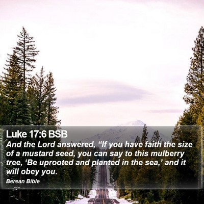 Luke 17:6 BSB Bible Verse Image