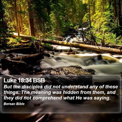 Luke 18:34 BSB Bible Verse Image