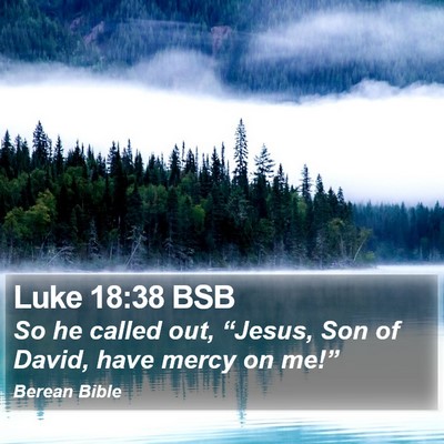 Luke 18:38 BSB Bible Verse Image