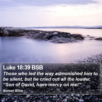 Luke 18:39 BSB Bible Verse Image
