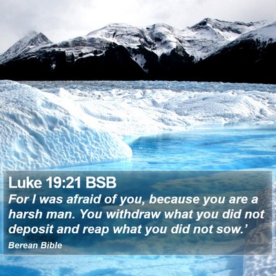 Luke 19:21 BSB Bible Verse Image