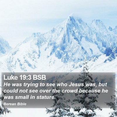 Luke 19:3 BSB Bible Verse Image