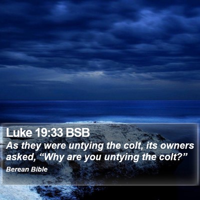 Luke 19:33 BSB Bible Verse Image