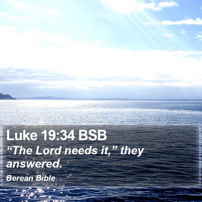 Luke 19:34 BSB Bible Verse Image