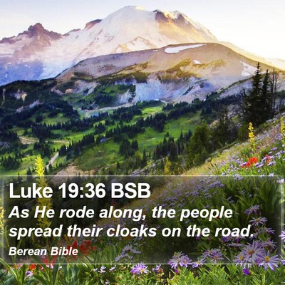 Luke 19:36 BSB Bible Verse Image