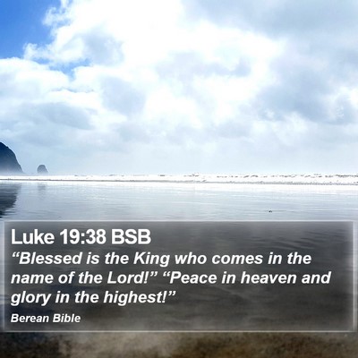 Luke 19:38 BSB Bible Verse Image