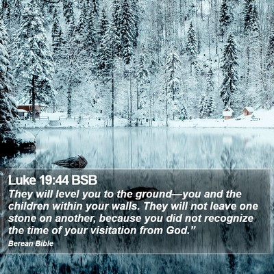 Luke 19:44 BSB Bible Verse Image