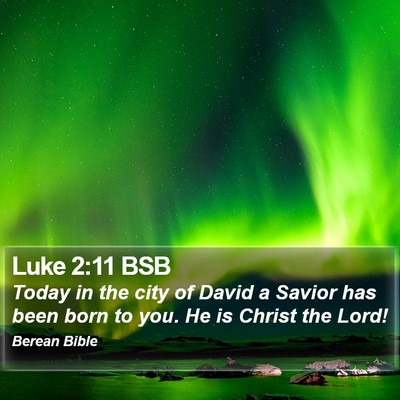 Luke 2:11 BSB Bible Verse Image