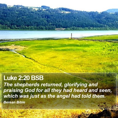 Luke 2:20 BSB Bible Verse Image
