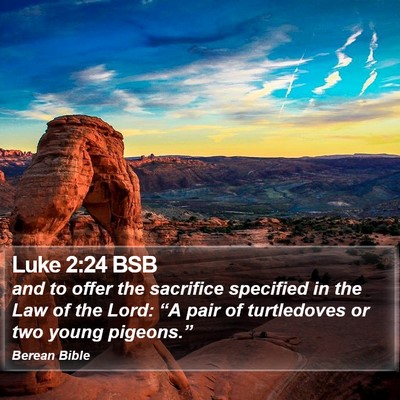 Luke 2:24 BSB Bible Verse Image