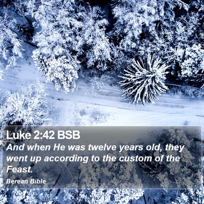 Luke 2:42 BSB Bible Verse Image