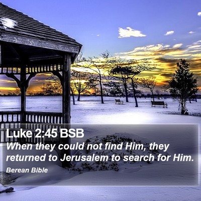 Luke 2:45 BSB Bible Verse Image