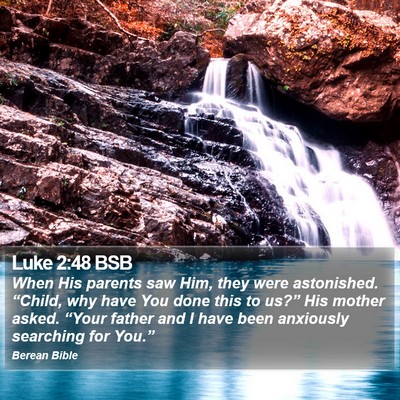 Luke 2:48 BSB Bible Verse Image