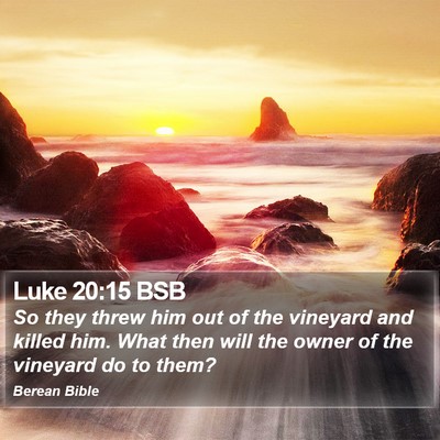 Luke 20:15 BSB Bible Verse Image