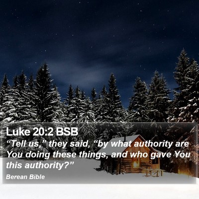 Luke 20:2 BSB Bible Verse Image