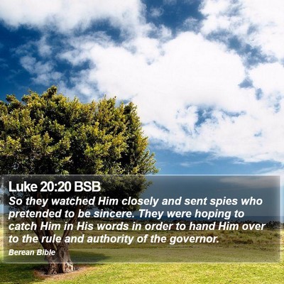 Luke 20:20 BSB Bible Verse Image