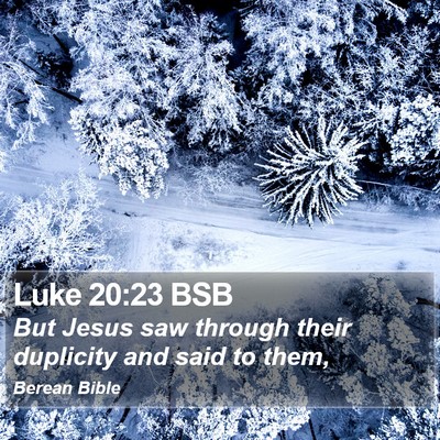 Luke 20:23 BSB Bible Verse Image