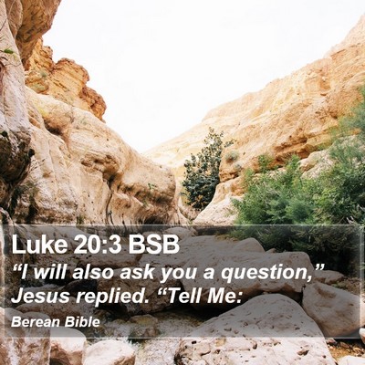 Luke 20:3 BSB Bible Verse Image