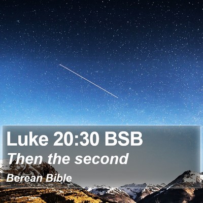 Luke 20:30 BSB Bible Verse Image