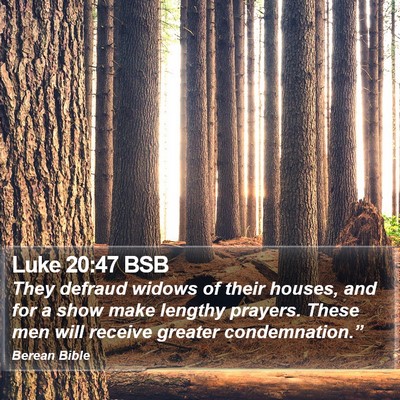 Luke 20:47 BSB Bible Verse Image