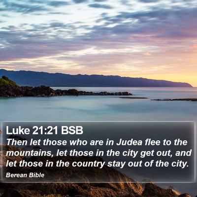 Luke 21:21 BSB Bible Verse Image