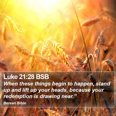 Luke 21:28 BSB Bible Verse Image