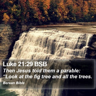 Luke 21:29 BSB Bible Verse Image