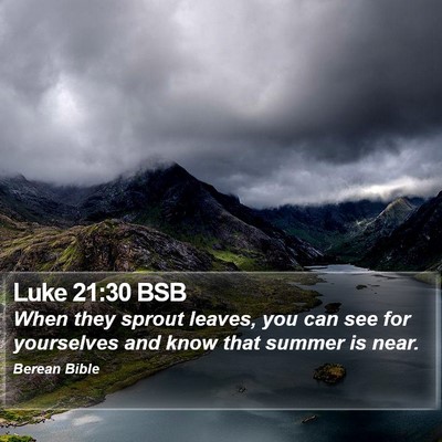 Luke 21:30 BSB Bible Verse Image