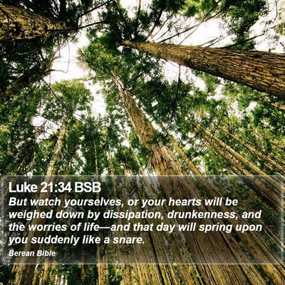Luke 21:34 BSB Bible Verse Image