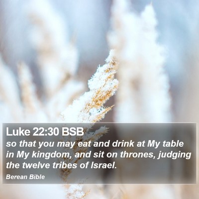 Luke 22:30 BSB Bible Verse Image