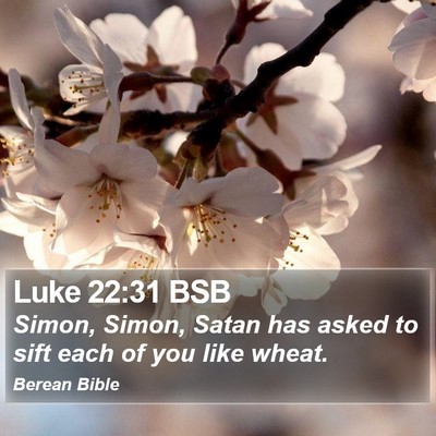 Luke 22:31 BSB Bible Verse Image