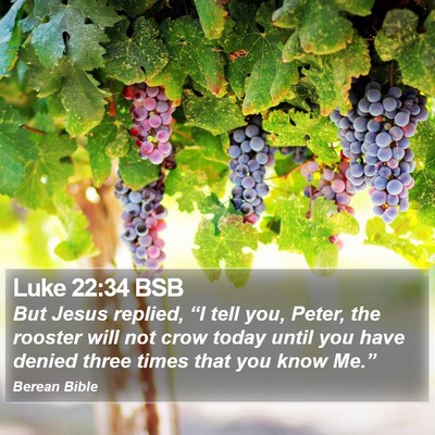 Luke 22:34 BSB Bible Verse Image