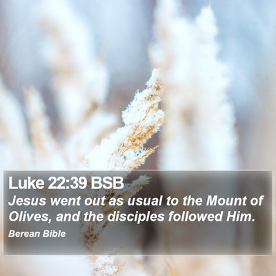 Luke 22:39 BSB Bible Verse Image
