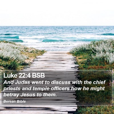 Luke 22:4 BSB Bible Verse Image