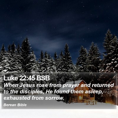 Luke 22:45 BSB Bible Verse Image