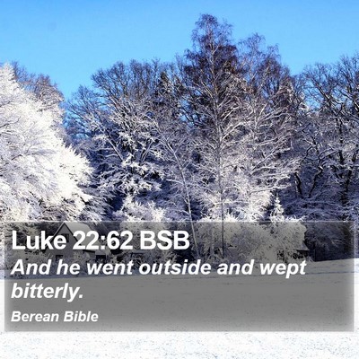 Luke 22:62 BSB Bible Verse Image