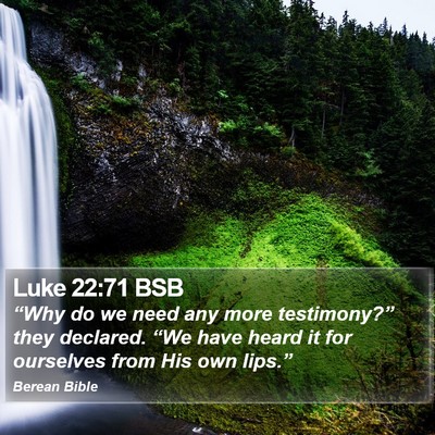 Luke 22:71 BSB Bible Verse Image