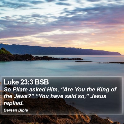 Luke 23:3 BSB Bible Verse Image