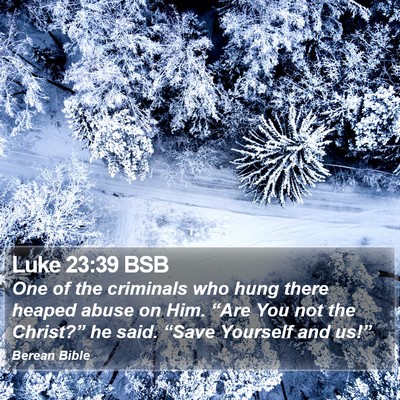 Luke 23:39 BSB Bible Verse Image