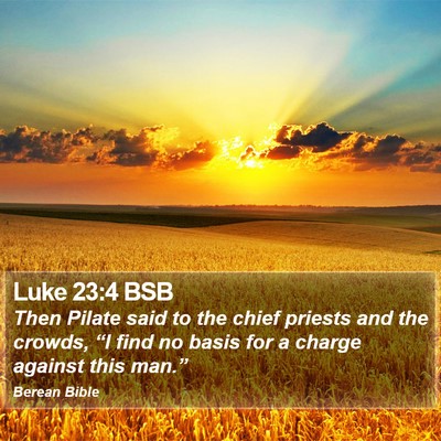 Luke 23:4 BSB Bible Verse Image